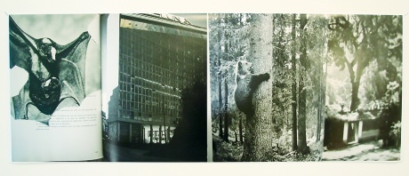 Ministry of Education & Health/Ribeiro House, Rio de Janeiro, 2013|Aus der 5-teiligen Serie »Brasil Builds«, Doppel A1, Auflage 5+1