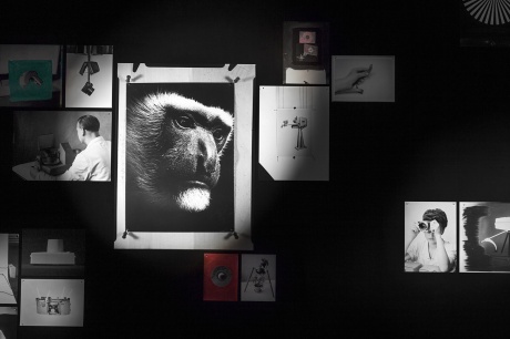 Daniela Friebel|Projektion, 2018|33 Pigmentdrucke, 43 Dias, schwarze Wandverkleidung, 9 Pentacon Projektoren (div. Modelle)